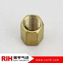 BF-內絲銅接頭